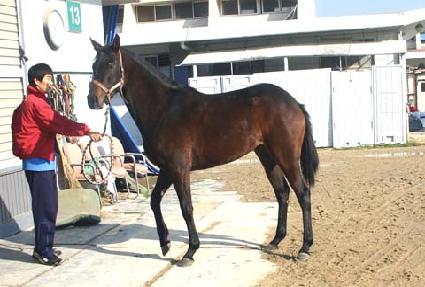 ����ũ���� ����