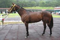 ���Ϳ��� (PETER YOJEONG) ����