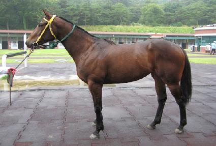 ���Ϳ��� ����