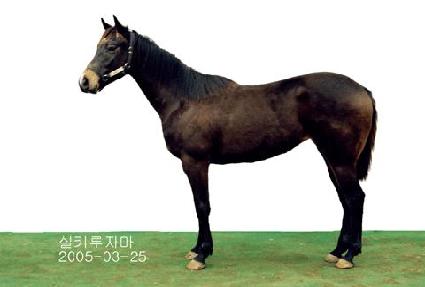 �Ǵн��� ����