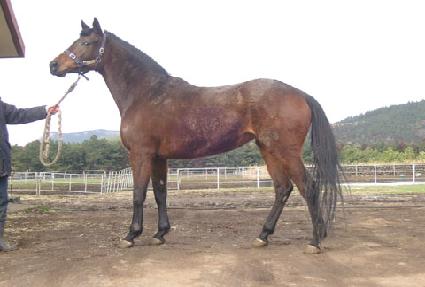 ������ ����