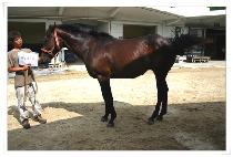 �����۽��� (REGAL PACIFIC) ����