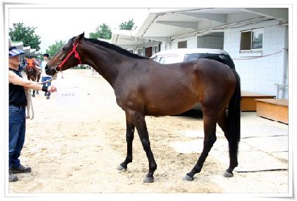 �����̰� ����