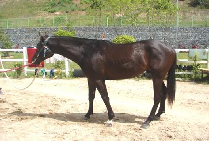 �ΰ����� ����