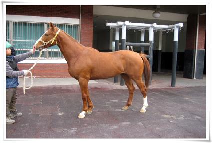 �������� ����