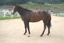 �ֹ� (ZOOMING) ����