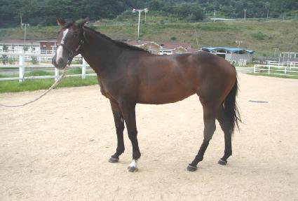 �ֹ� ����