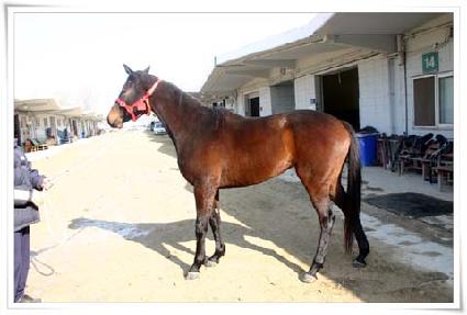 �����ξ� ����