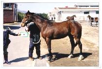 �泲ȣ (GYEONG NAM HO) ����