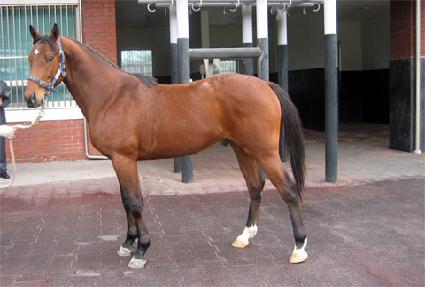 ��ç���� ����