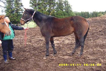 �ʽż� ����