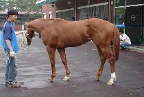 ����õ�� (MUPAE CHEONWANG) ����