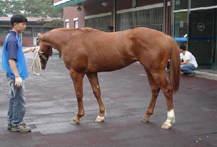 ����õ�� ����