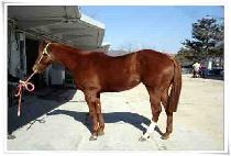 ��¸��� (SANGSEUNGMARU) ����