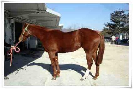 ��¸��� ����