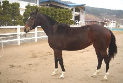 �����õ� ����