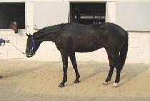 �ݺ����� (GEUMBIN NARAE) ����