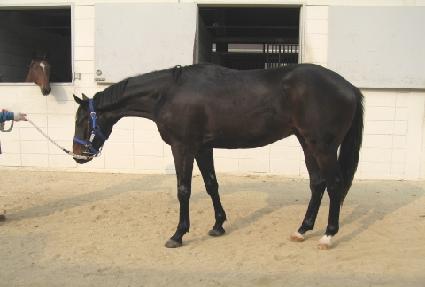 �ݺ����� ����