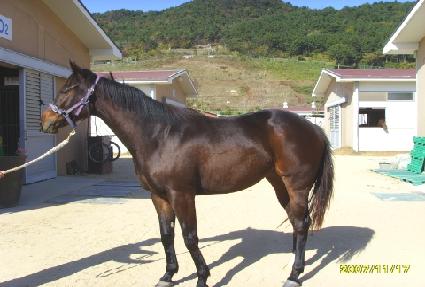 ����ְ� ����