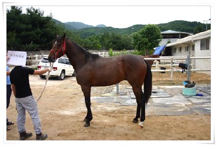 ���Ÿ����� ����