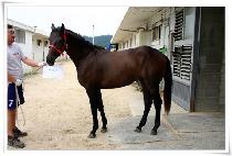 ���ݰ� (NAEGEUMGANG) ����