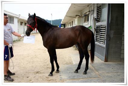 ���ݰ� ����