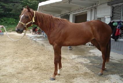 �ϸ�� ����