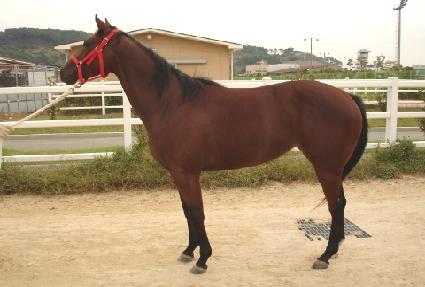 ����̽� ����