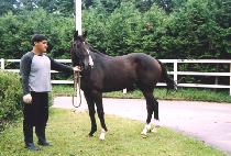 ����Ʈ��ġ (PERFECT REACH) ����