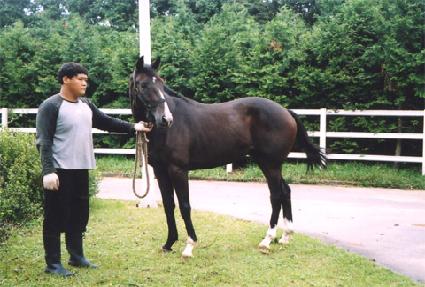 ����Ʈ��ġ ����