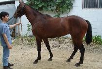 ���ó�� (DEUNGBULCHEOREOM) ����