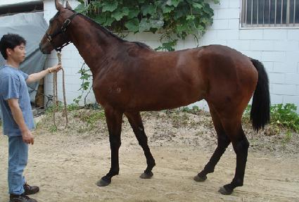 ���ó�� ����