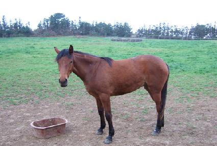 �˽��� ����