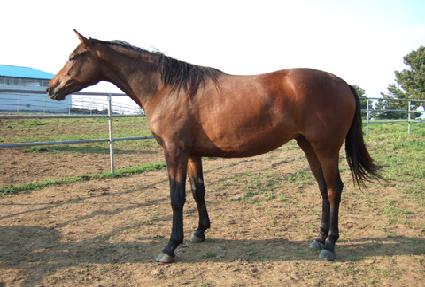 ȭ���� ����