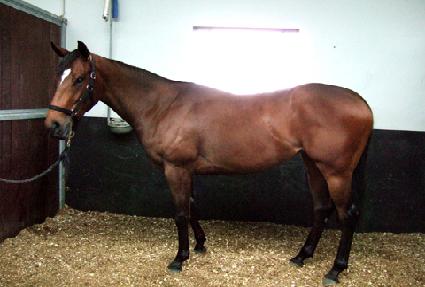 ��Ƽ�� ����