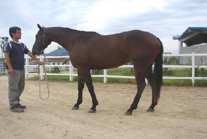 ������ǳ ����