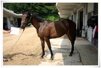 �̽������ ����