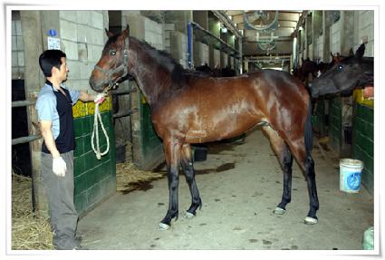 ��Ȳ�� ����