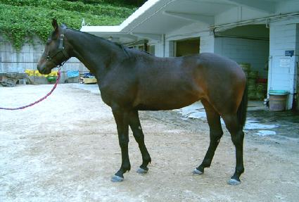 ����� ����