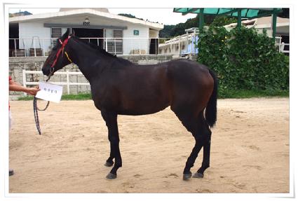 ���� ����