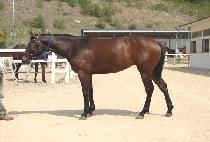 ���ۿ��� (YEPPEUN YEOBO) ����