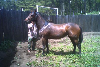 ��ó�� ����