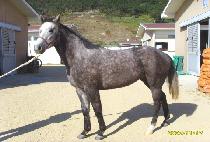 ���̽�����ũ (HIGH SPIKE) ����