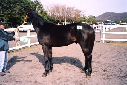 ��� ����