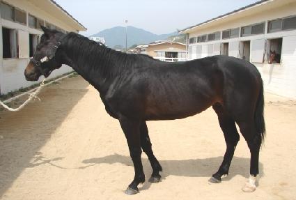 �˰��� ����