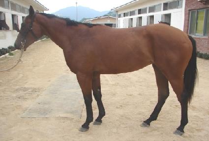 ������ ����