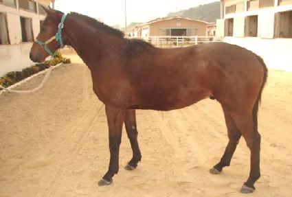 ��ǳ���� ����