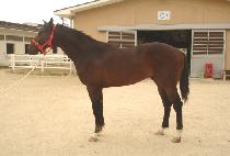 ����Ŭ���� (WORLD CLASS) ����