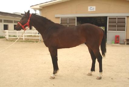 ����Ŭ���� ����