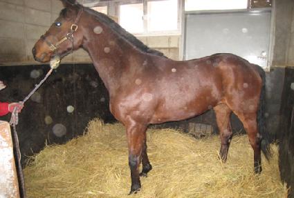 �ݴ����� ����